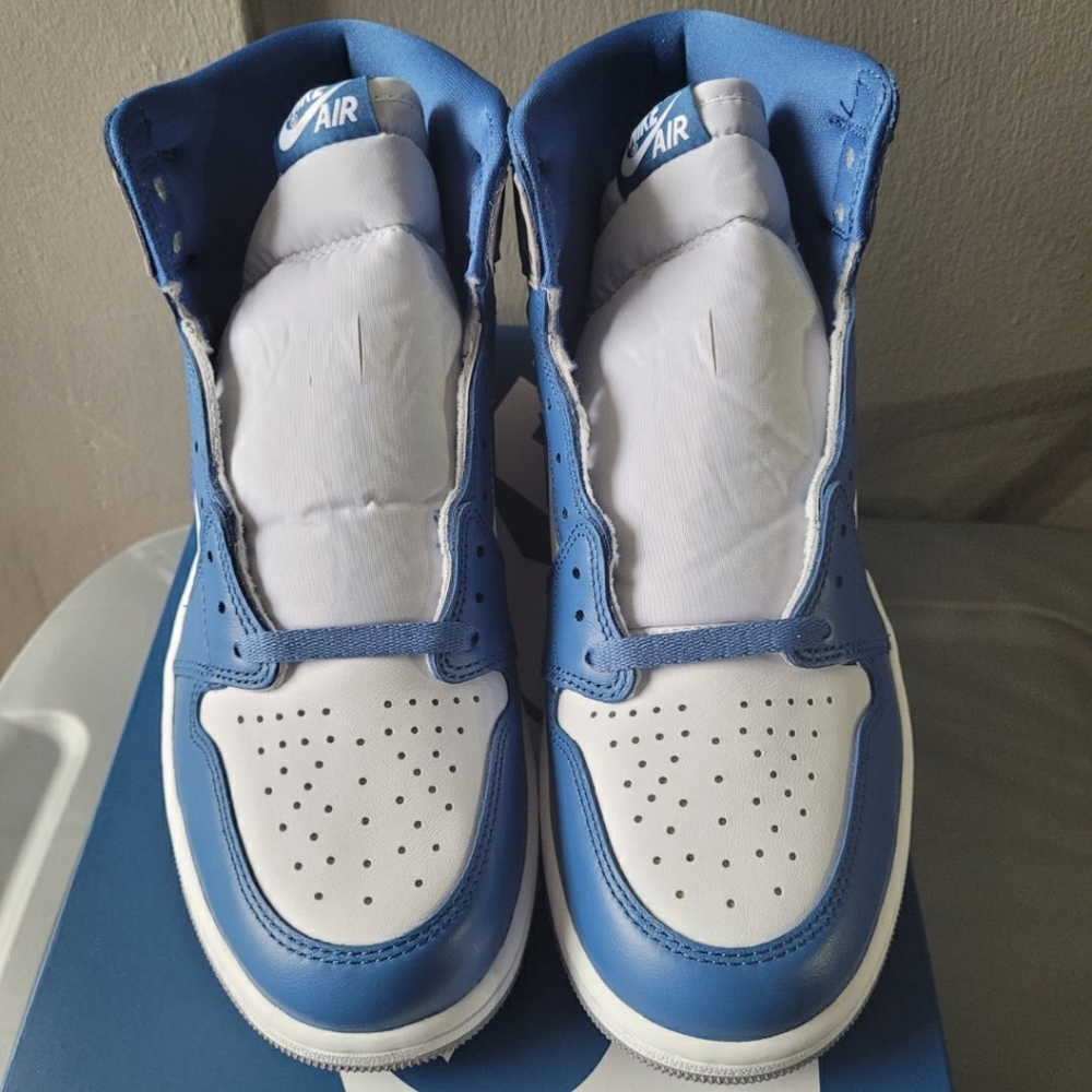 Nike Air Jordan 1 True Blue